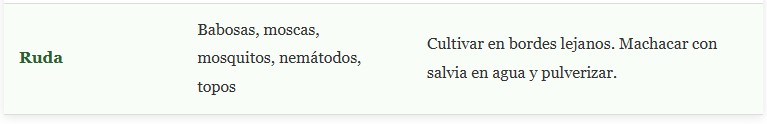 plantas repelentes