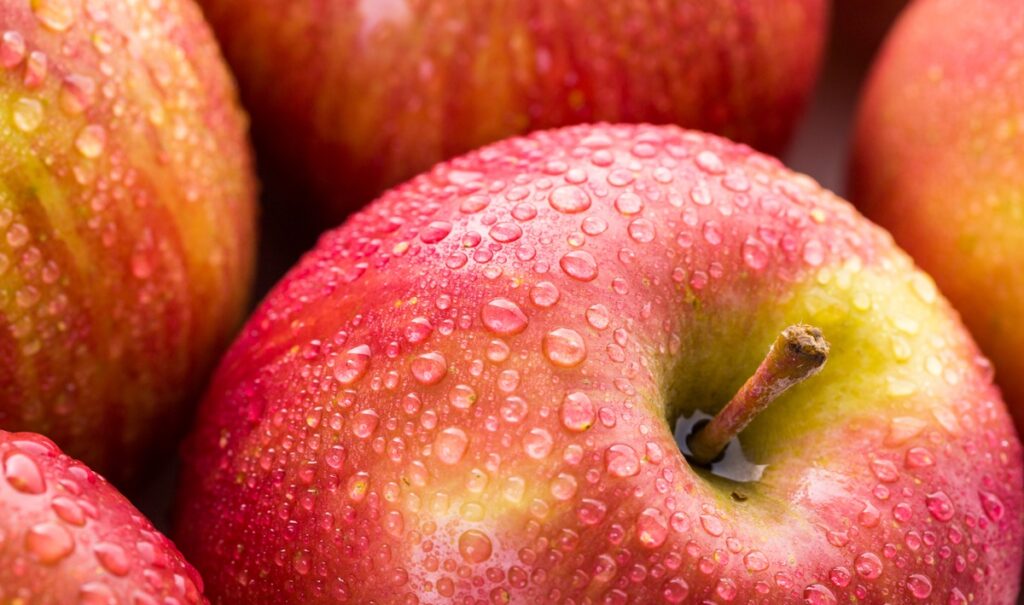 Crece la producción de manzanas en Brasil: el estado de Santa Catarina marca la pauta