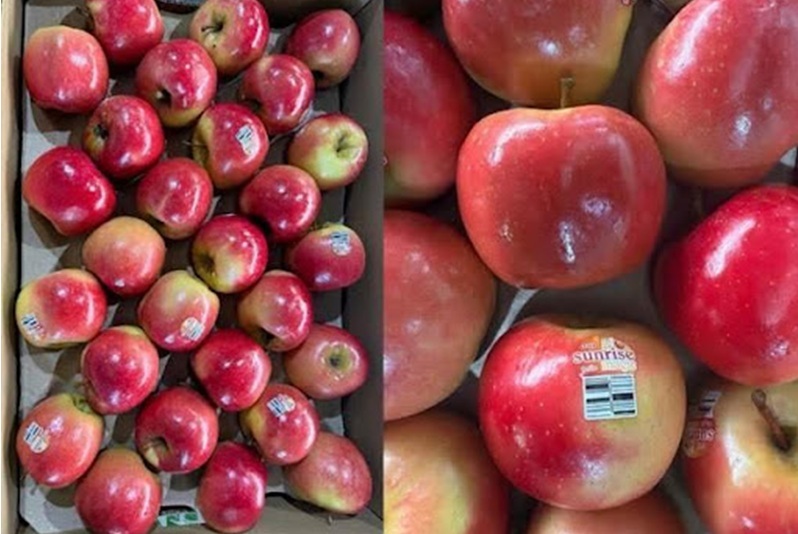 Sunrise Magic: la manzana australiana que conquista a minoristas y consumidores