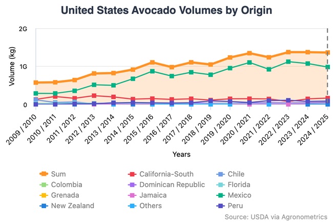 Palta chilena proyecta cosecha histórica de 240 mil toneladas para 2025-26 y consolida su liderazgo con enfoque sostenible 7 Palta chilena proyecta cosecha histórica de 240 mil toneladas para 2025-26 y consolida su liderazgo con enfoque sostenible