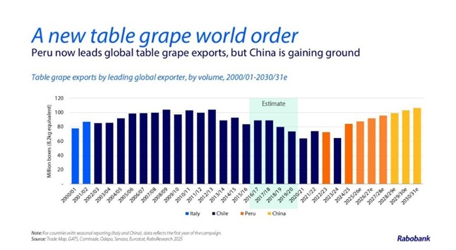 Perú lidera exportaciones mundiales de uva de mesa mientras China crece como competidor clave