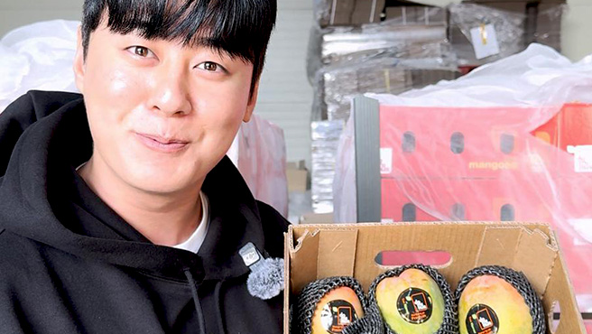 Mango Edward de Perú llegó por primera vez a Corea del Sur 5 Mango Edward de Perú llegó por primera vez al mercado de Corea del Sur