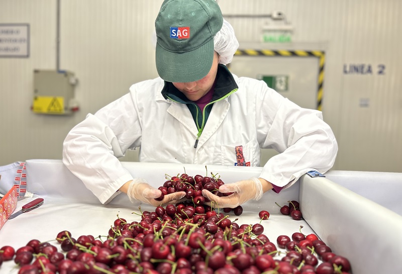 SAG opera con normalidad en todo el país tras término de movilización de una asociación 5 SAG informa que opera con normalidad en todo el país, tras término de movilización de una asociación