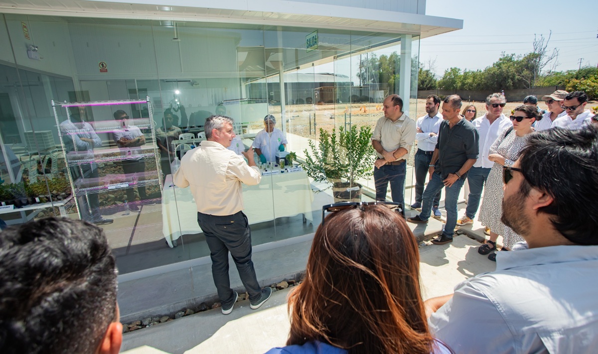 Camposol inaugura moderna biofábrica para innovación genética con capacidad de producción de millones de plantas de arándano 3 Camposol inaugura moderna biofábrica para la innovación genética y la eficiencia productiva