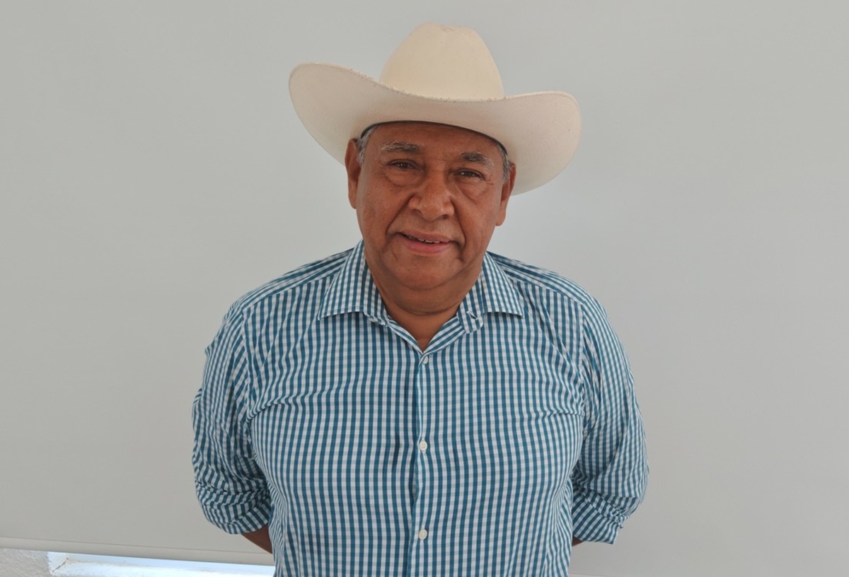 Pequeños productores de mango mexicano buscan mejorar su posición en los mercados internacionales 5 Los pequeños productores de mangos mexicanos buscan un mejor posicionamiento comercial en los mercados internacionales