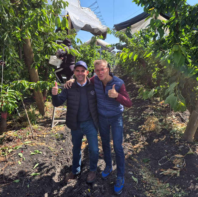 CMR GROUP comercializará el primer contenedor de cereza de la temporada en Europa 