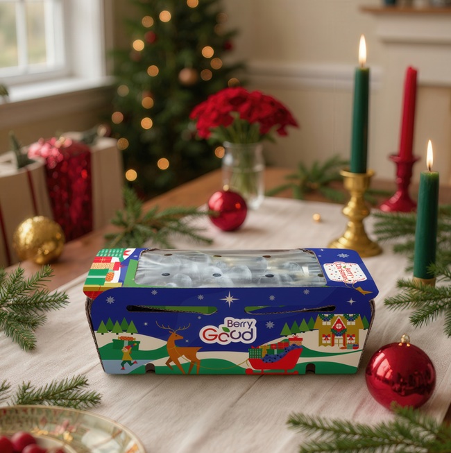 Berry Christmas: la apuesta navideña de Hortifrut que transforma los arándanos en un regalo saludable