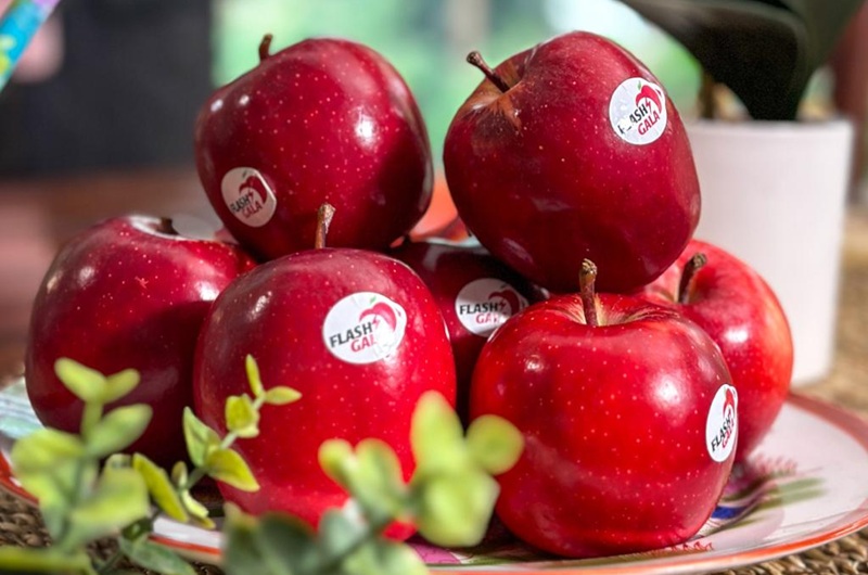 Expertos explican por qué Flash Gala es hoy un ejemplo del poder del branding en frutas 5 Expertos explican por qué Flash Gala es hoy ejemplo del poder del branding en frutas