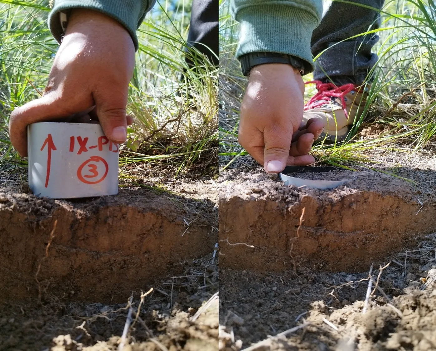 micromorfología de suelos