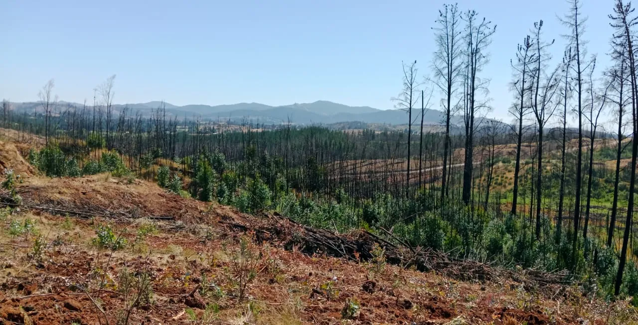 micromorfología de suelos