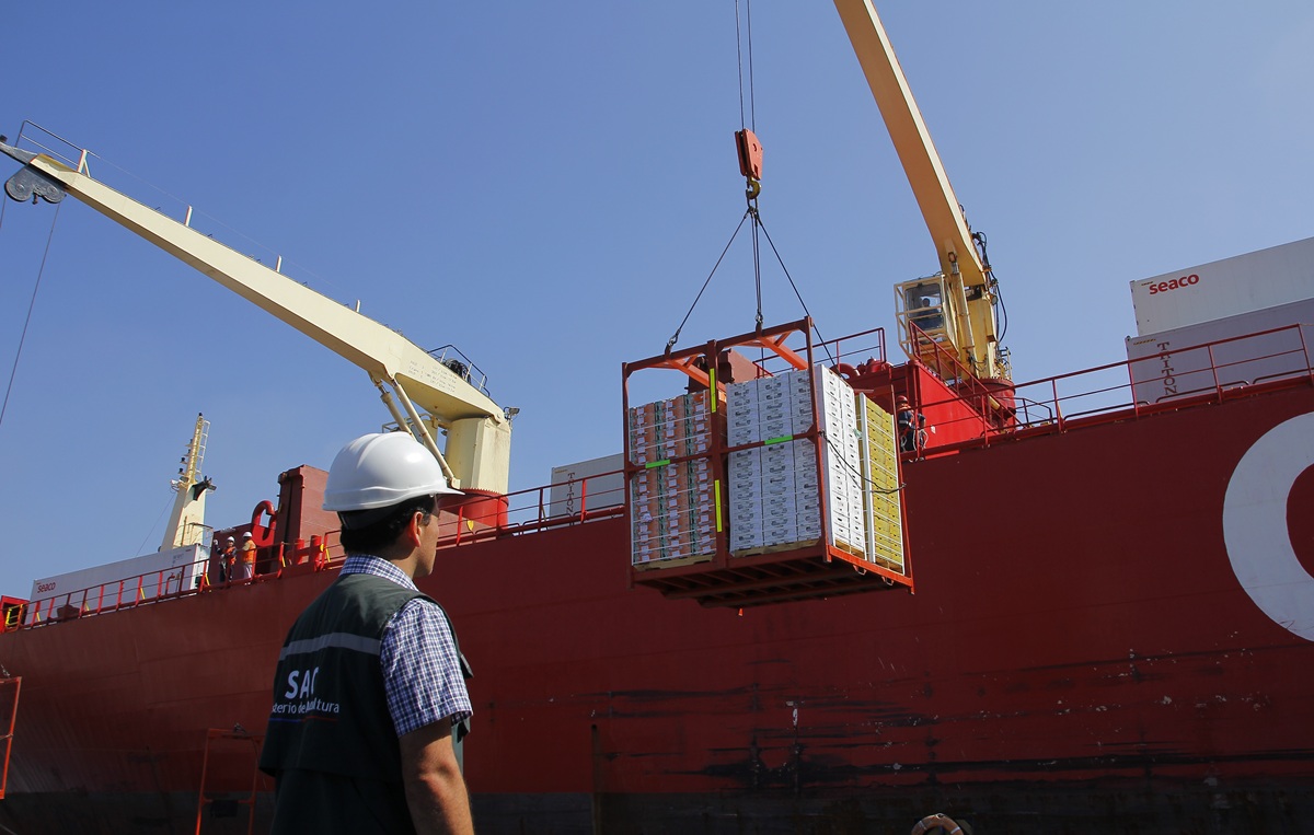 Chile y Japón inician marcha blanca para implementar certificados fitosanitarios electrónicos
