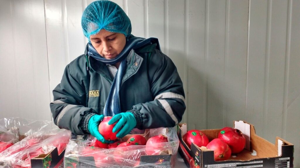 Perú concreta 39 nuevos accesos sanitarios y comerciales para sus agroexportaciones en 2025