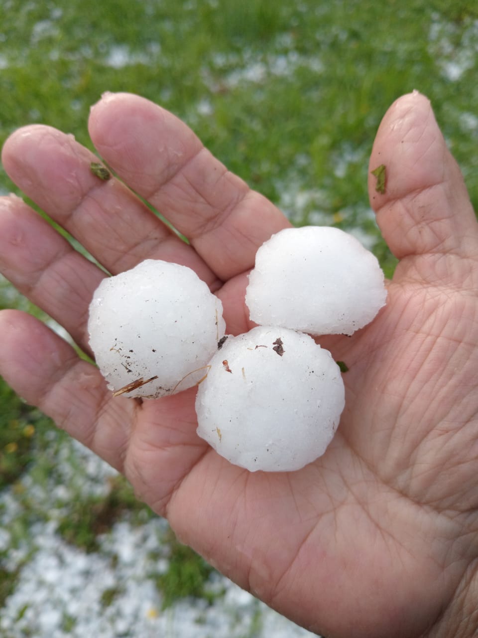 Granizos en La Araucanía 