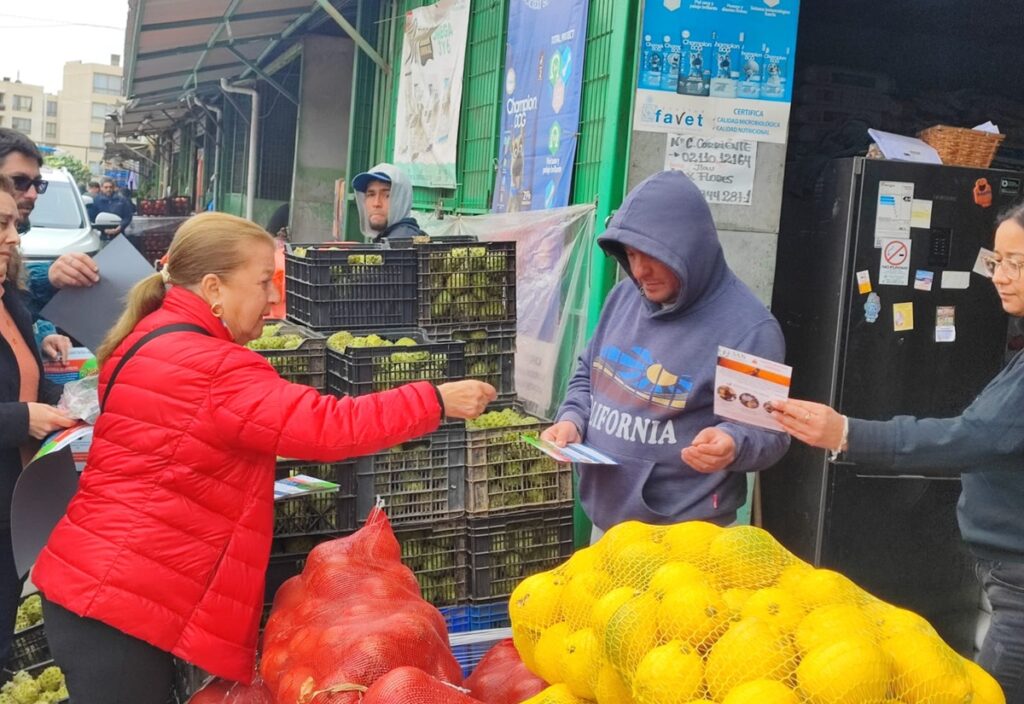 Sociedad Agrícola del Norte llama a frenar traslado irregular de fruta tras nuevo foco de mosca de la fruta en Ovalle