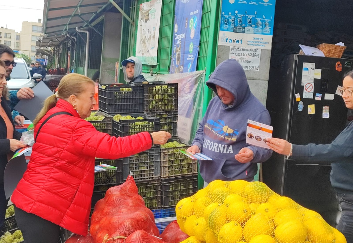 Sociedad Agrícola del Norte rechaza intentos de desinformar a los agricultores frente a la mosca de la fruta