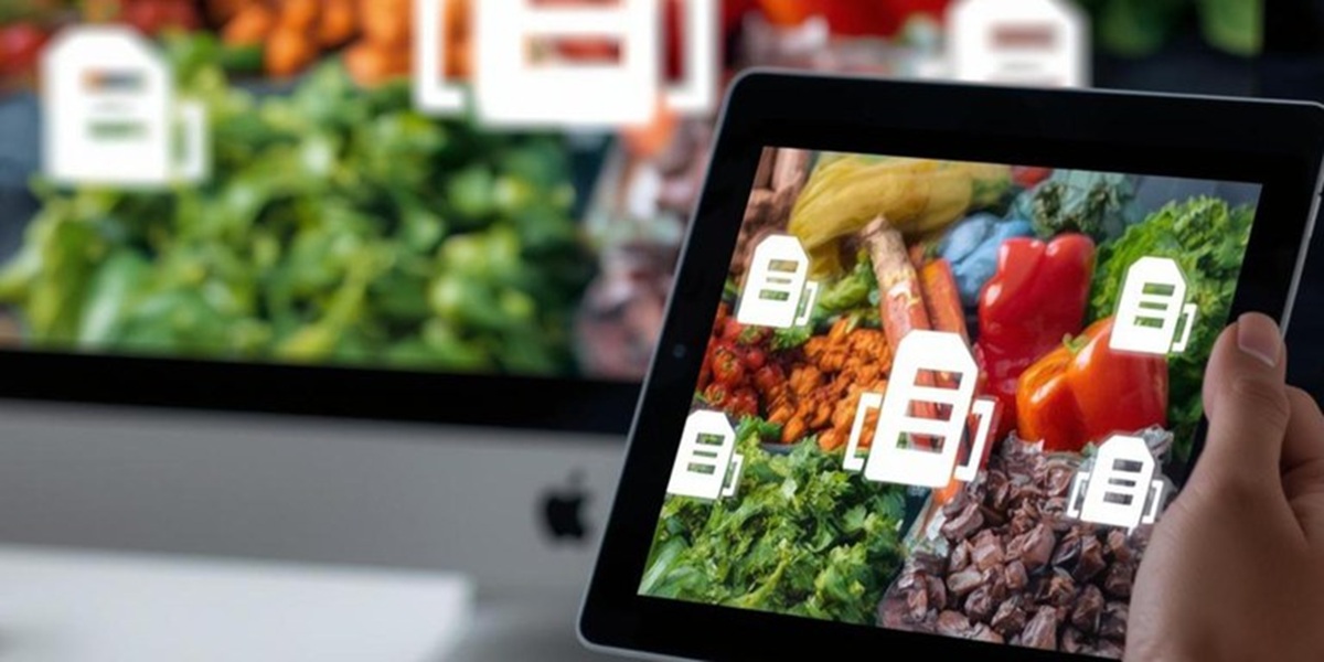 Brasil y Chile modernizan su comercio agrícola con certificación electrónica fitosanitaria 5 Brasil y Chile modernizan su comercio agrícola con certificación electrónica fitosanitaria