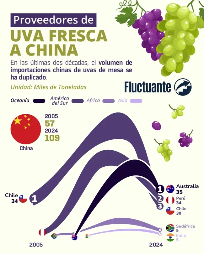 China duplica sus importaciones de uva de mesa en 20 años y redefine el mapa global de proveedores