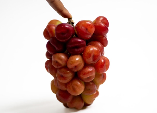 De la vid, con amor: la exclusiva uva que debutará en Estados Unidos justo a tiempo para las fiestas