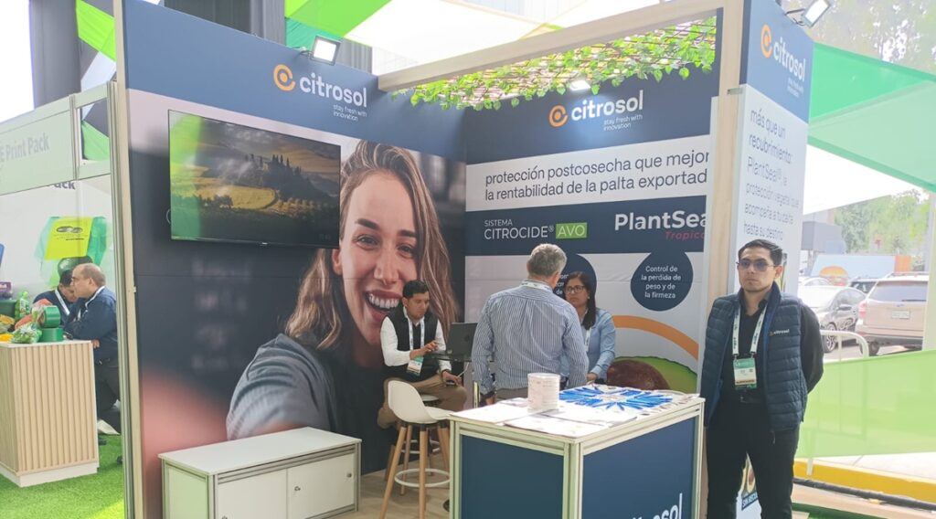 Citrosol comparte avances en la conservación de palta en el VII Congreso Latinoamericano de la Palta de Perú