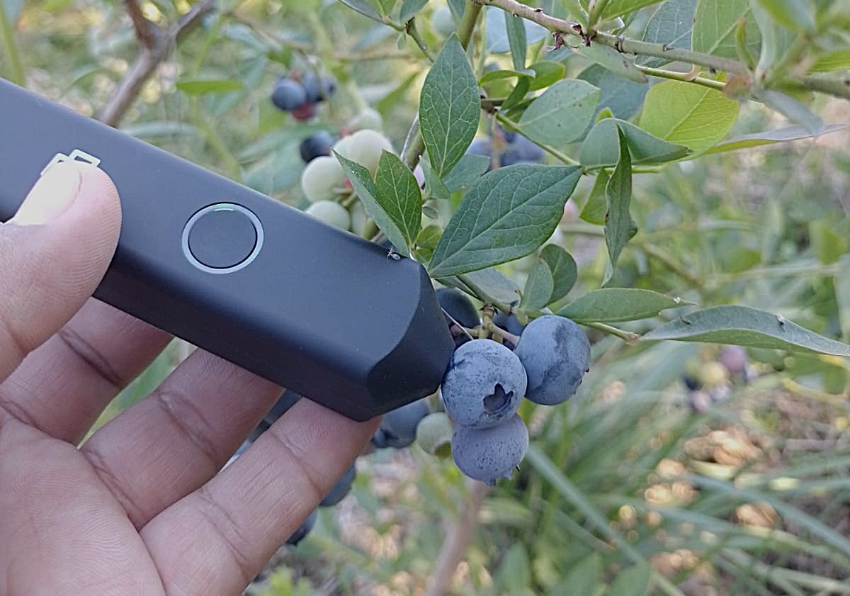 Chile lanza laboratorio digital portátil que monitorea la calidad de la fruta en tiempo real 6 Chile lanza laboratorio digital portátil que monitorea la calidad de la fruta en tiempo real