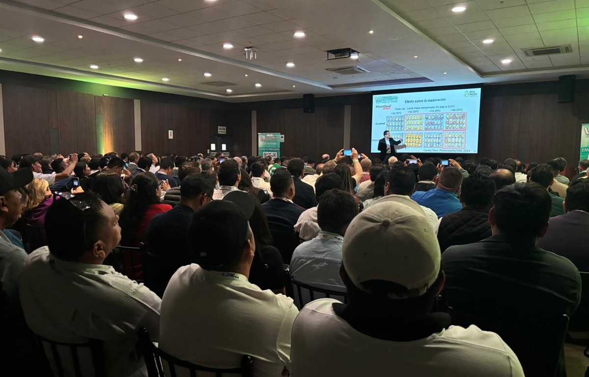 Citrosol comparte avances en la conservación de palta en el VII Congreso Latinoamericano de la Palta de Perú 3 Citrosol comparte avances en la conservación de palta en el VII Congreso Latinoamericano de la Palta de Perú