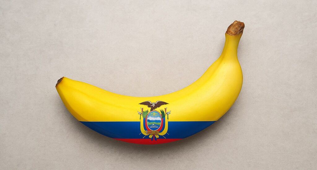 Positivo balance para las exportaciones de banano de Ecuador en lo que va de 2025