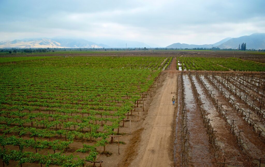 Perú se acerca a un récord histórico en exportaciones agrícolas al cierre de 2025