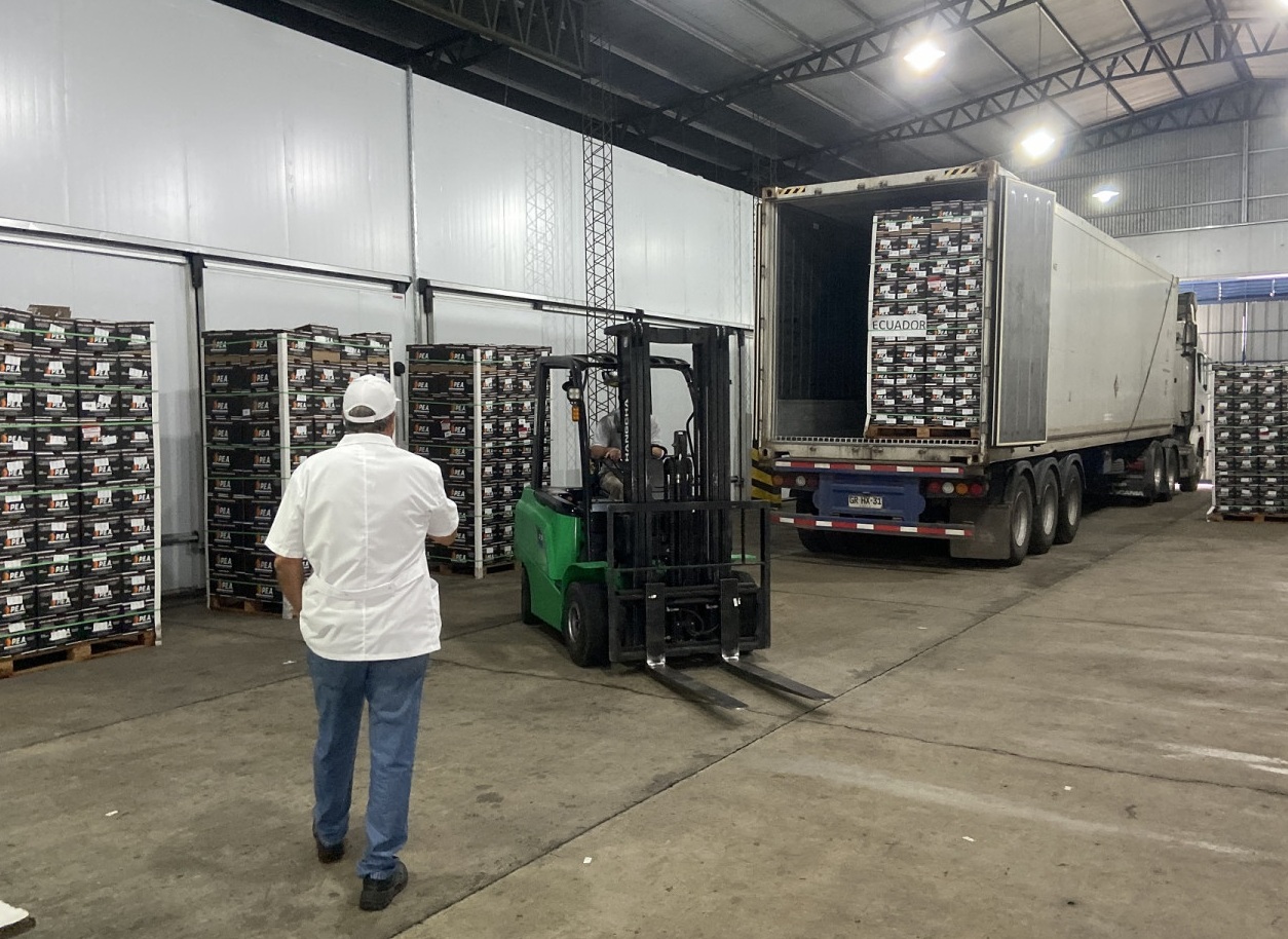 Argentina abre nuevo mercado y envía su primer cargamento de naranjas a Ecuador