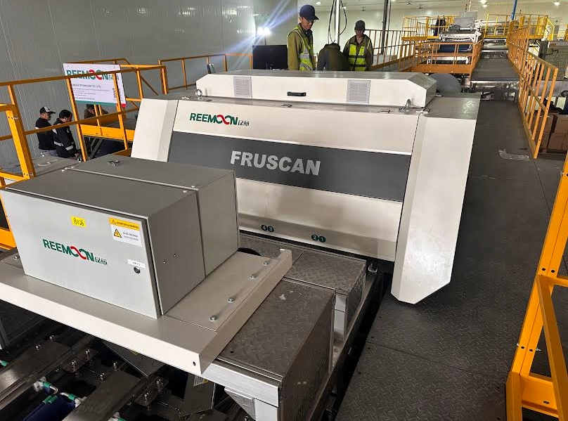 Cerezas de calidad superior: procesos eficientes con la mejor tecnología 6 Cerezas de calidad superior: procesos eficiente con la mejor tecnología