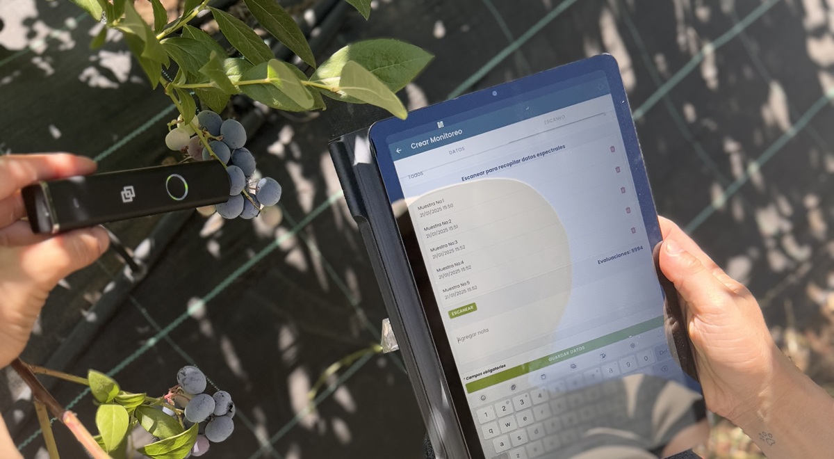 Chile lanza laboratorio digital portátil que monitorea la calidad de la fruta en tiempo real 3 Chile lanza laboratorio digital portátil que monitorea la calidad de la fruta en tiempo real
