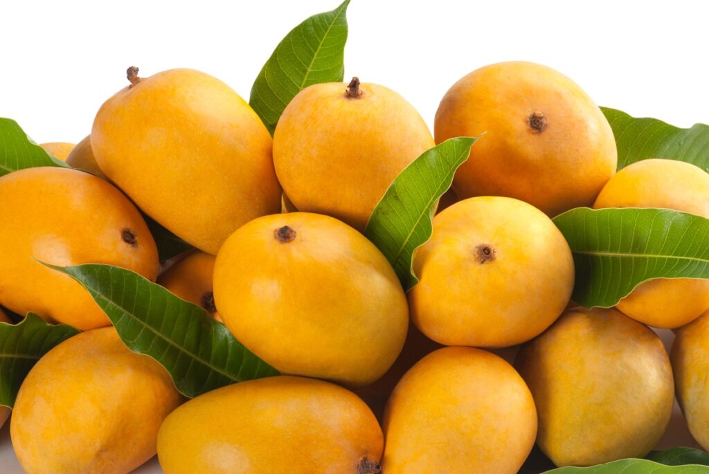 Eosta introduce el primer envío marítimo de mangos Ataúlfo orgánicos desde Perú a Europa