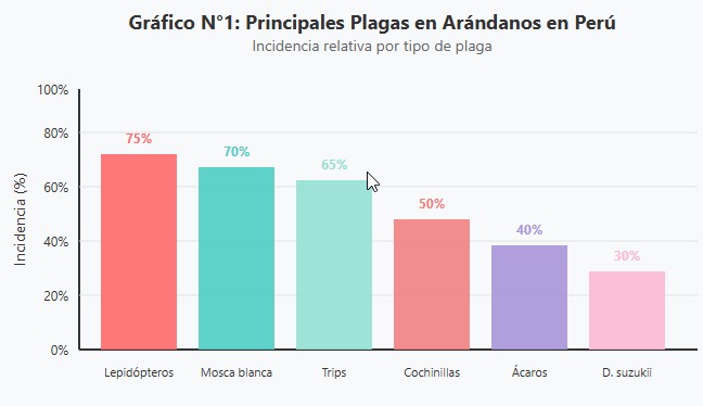 arándanos