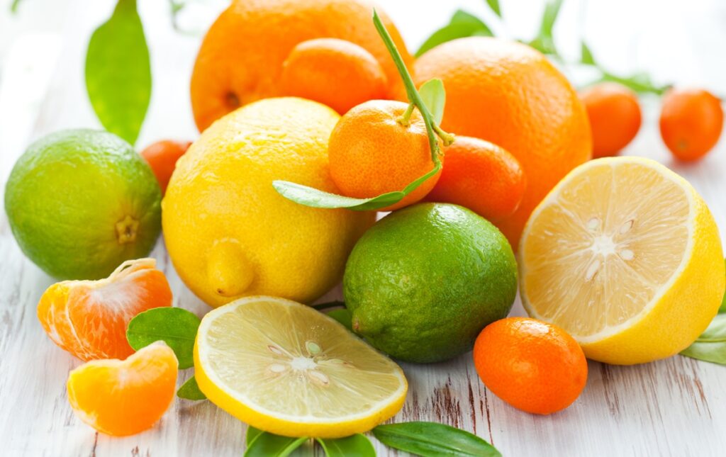 Cítricos argentinos buscan su camino bajo el nuevo orden de Milei