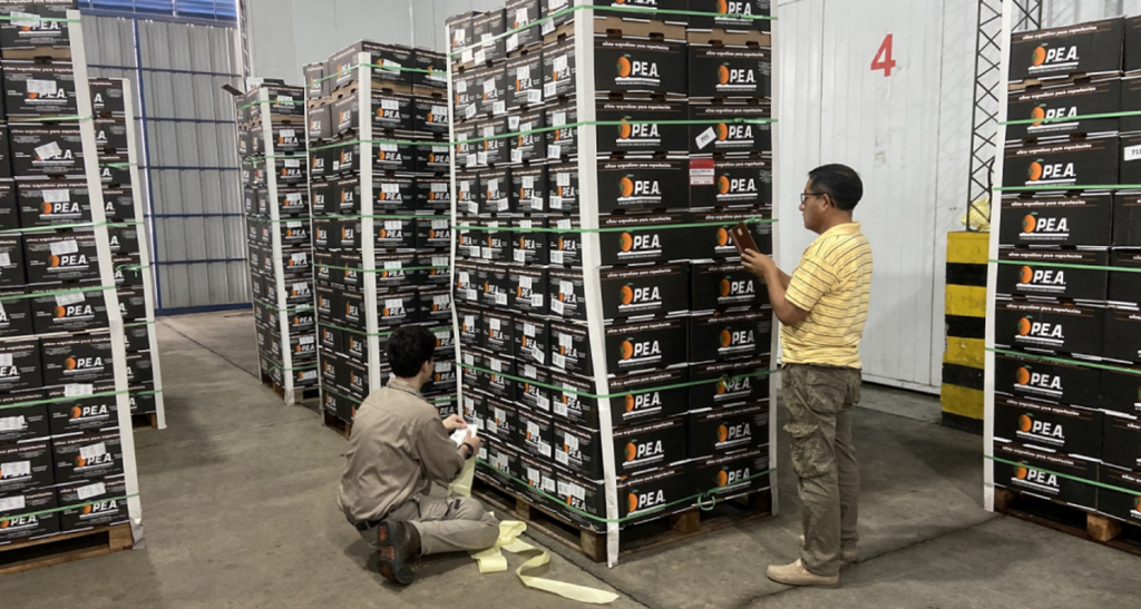 Argentina abre nuevo mercado y envía su primer cargamento de naranjas a Ecuador