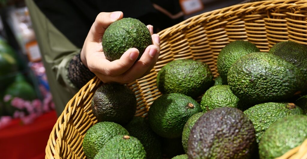 Australia impulsa proyecto para mejorar la calidad de sus aguacates en mercados asiáticos