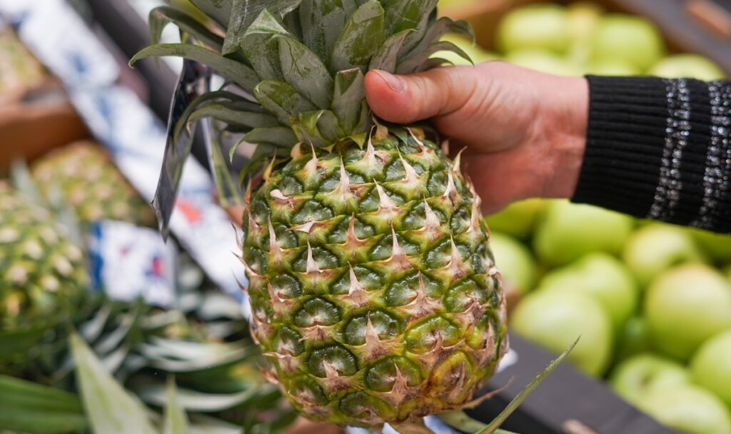 Brasil aprueba la admisibilidad de la piña fresca colombiana