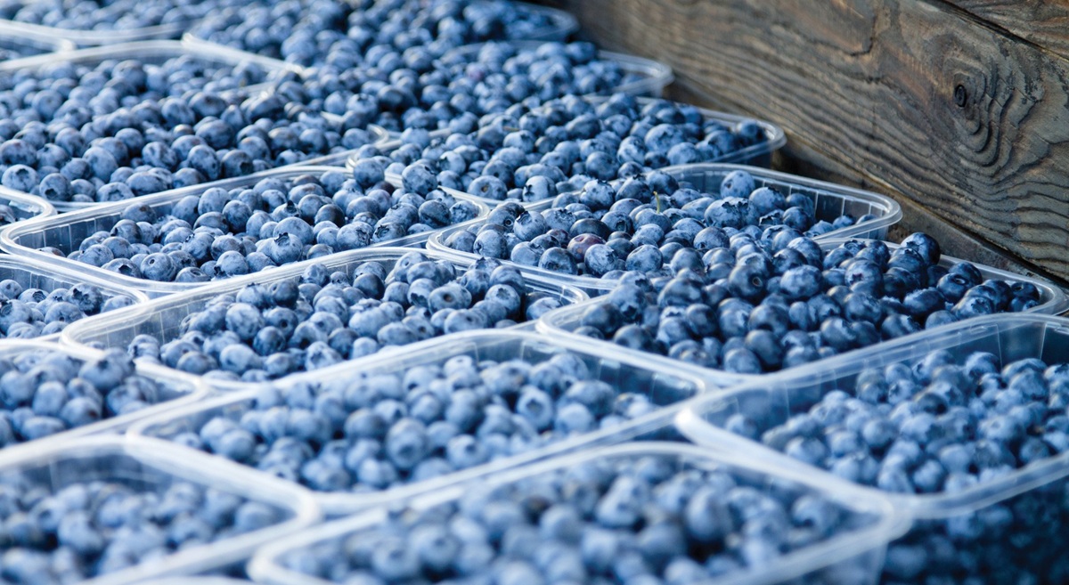 SENASA aprueba Harvista™ 1.3 SC de AgroFresh para uso en arándanos en Perú