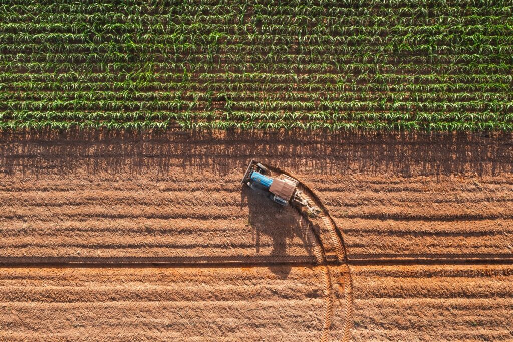 El comercio agrícola mundial entra en una nueva era mientras la geopolítica se convierte en la fuerza que impulsa las cosechas