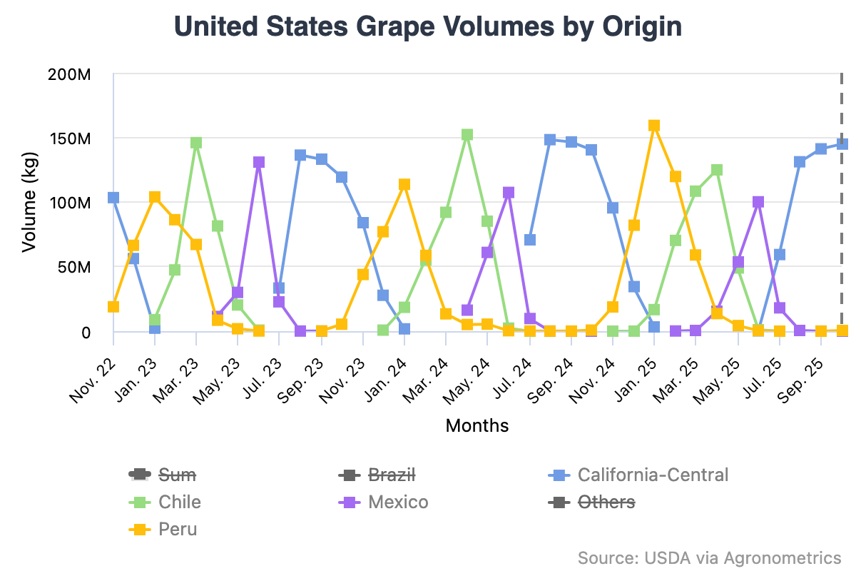 Exportaciones de uva de mesa de Perú alcanzarían nuevos máximos en la temporada 2025/26