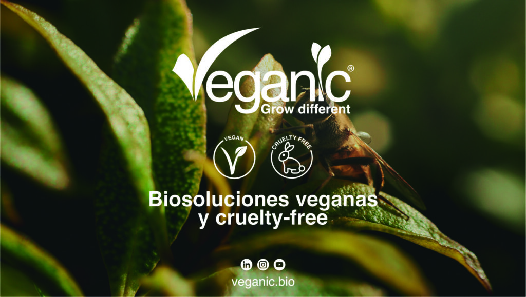 Veganic lanza VINTEC®, el biofungicida que protege los cultivos desde el interior