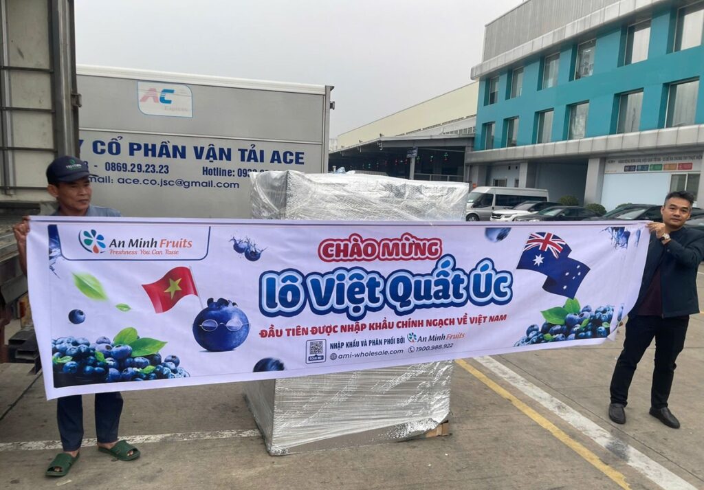 Australia concreta su primer envío comercial de arándanos frescos a Vietnam tras apertura del mercado