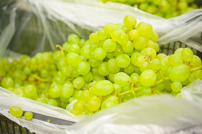 La cosecha de uva de mesa en California finaliza con una caída en los inventarios de almacenamiento en frío.