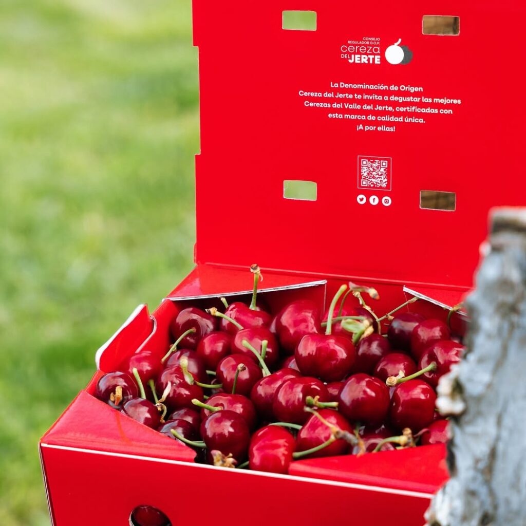 cerezas del jerte
