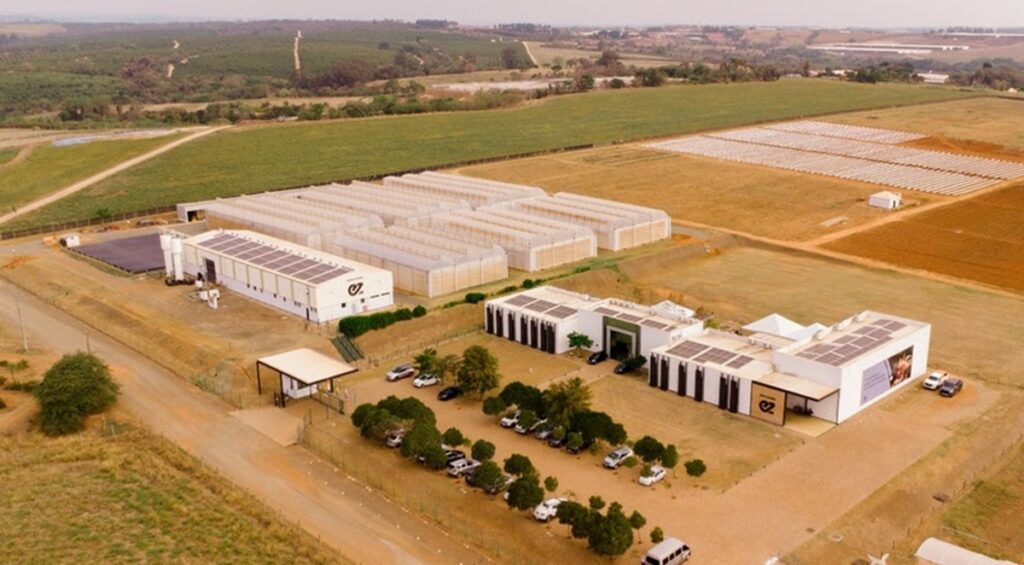 Enza Zaden y Pairwise anuncian colaboración para la investigación en mejoramiento de hortalizas