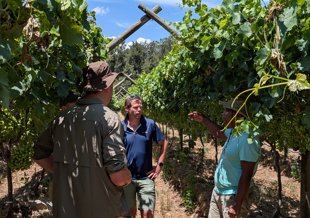 Eosta inicia la temporada 2025-26 de uvas orgánicas sudafricanas con nuevas variedades y mayor disponibilidad