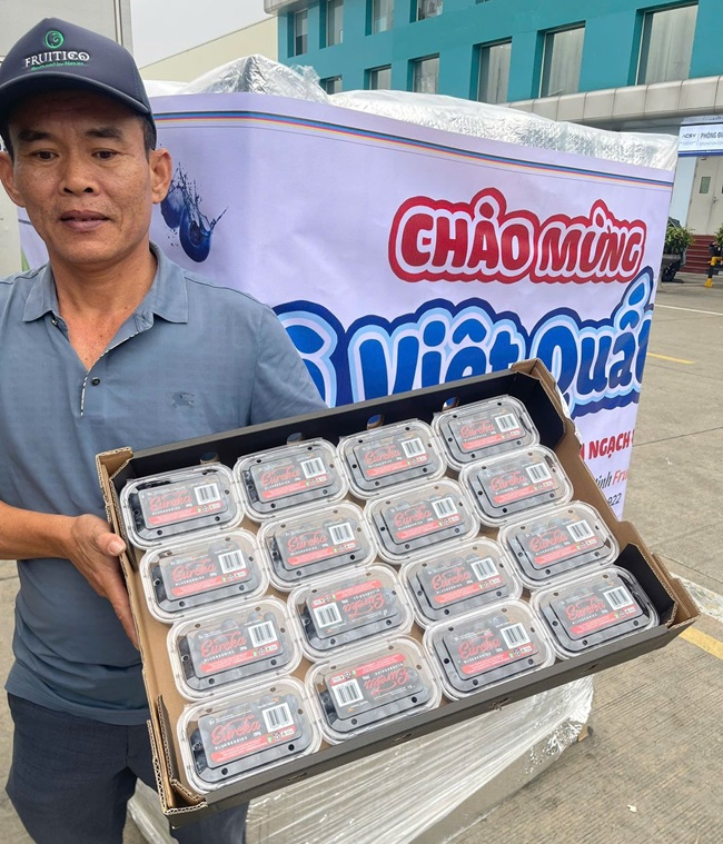 Australia concreta su primer envío comercial de arándanos frescos a Vietnam tras apertura del mercado 6 Australia concreta su primer envío comercial de arándanos frescos a Vietnam