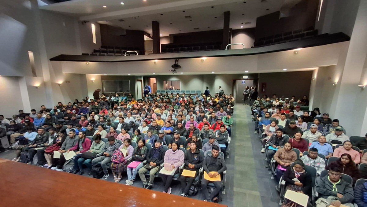 La fresa impulsa el crecimiento de los berries en Huelva para la campaña 2026