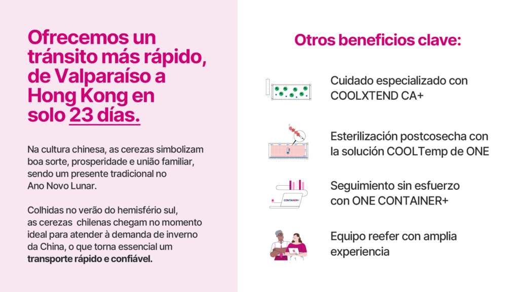 El "Sweet Spot" de la logística: ONE Cherry Express impulsa la temporada chilena con una ruta de 23 días hacia Hong Kong 3 El "Sweet Spot" de la logística: ONE Cherry Express impulsa la temporada chilena con una ruta de 23 días hacia Hong Kong