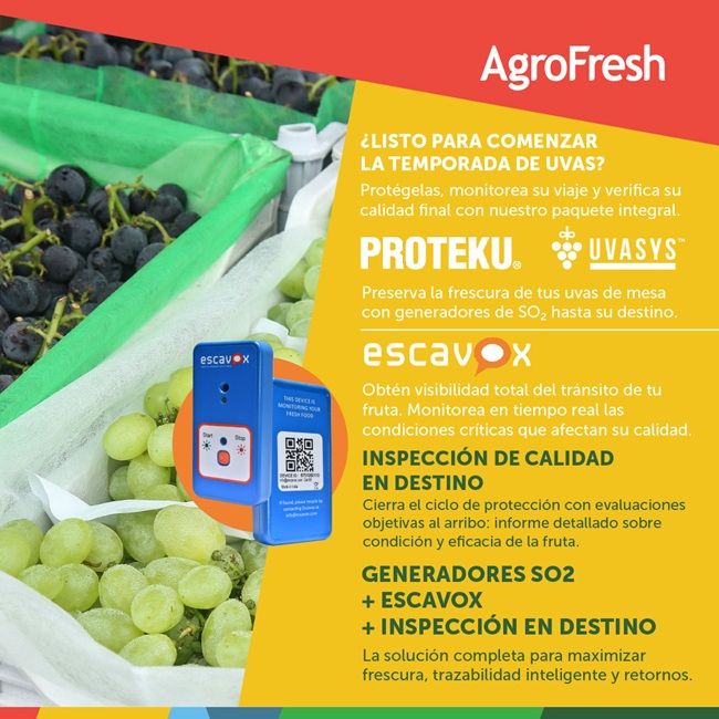 AgroFresh lanza paquete integral para maximizar la calidad y el retorno de la uva de mesa en exportación 5 agrofresh