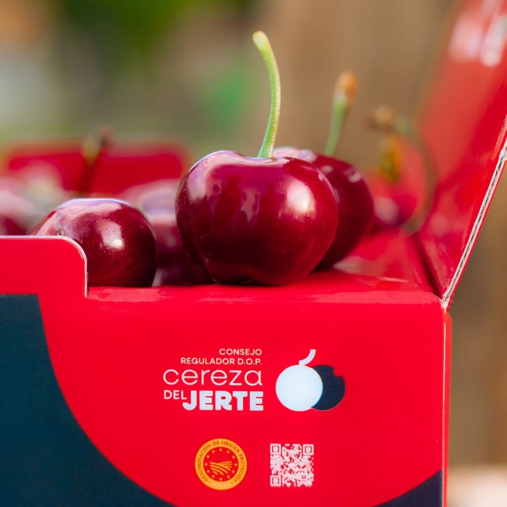 cerezas del jerte
